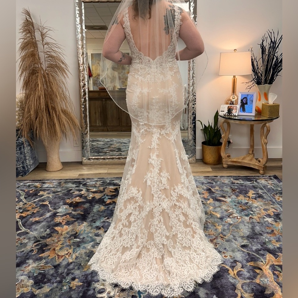 Ella Rosa Elegant Lace Wedding Dress in Cream and White - Picture 2 of 13